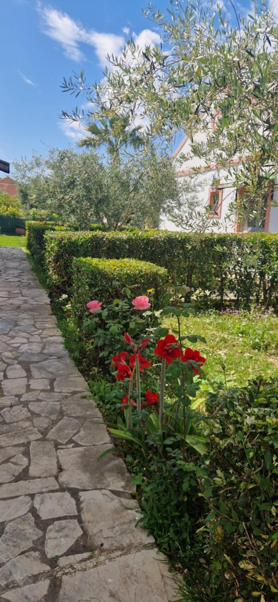 Corfu Studio 4U Рода Экстерьер фото